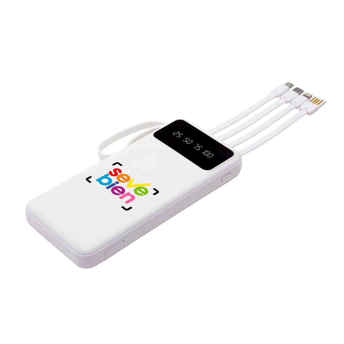 Power Bank multipuerto «MICHIGAN»
