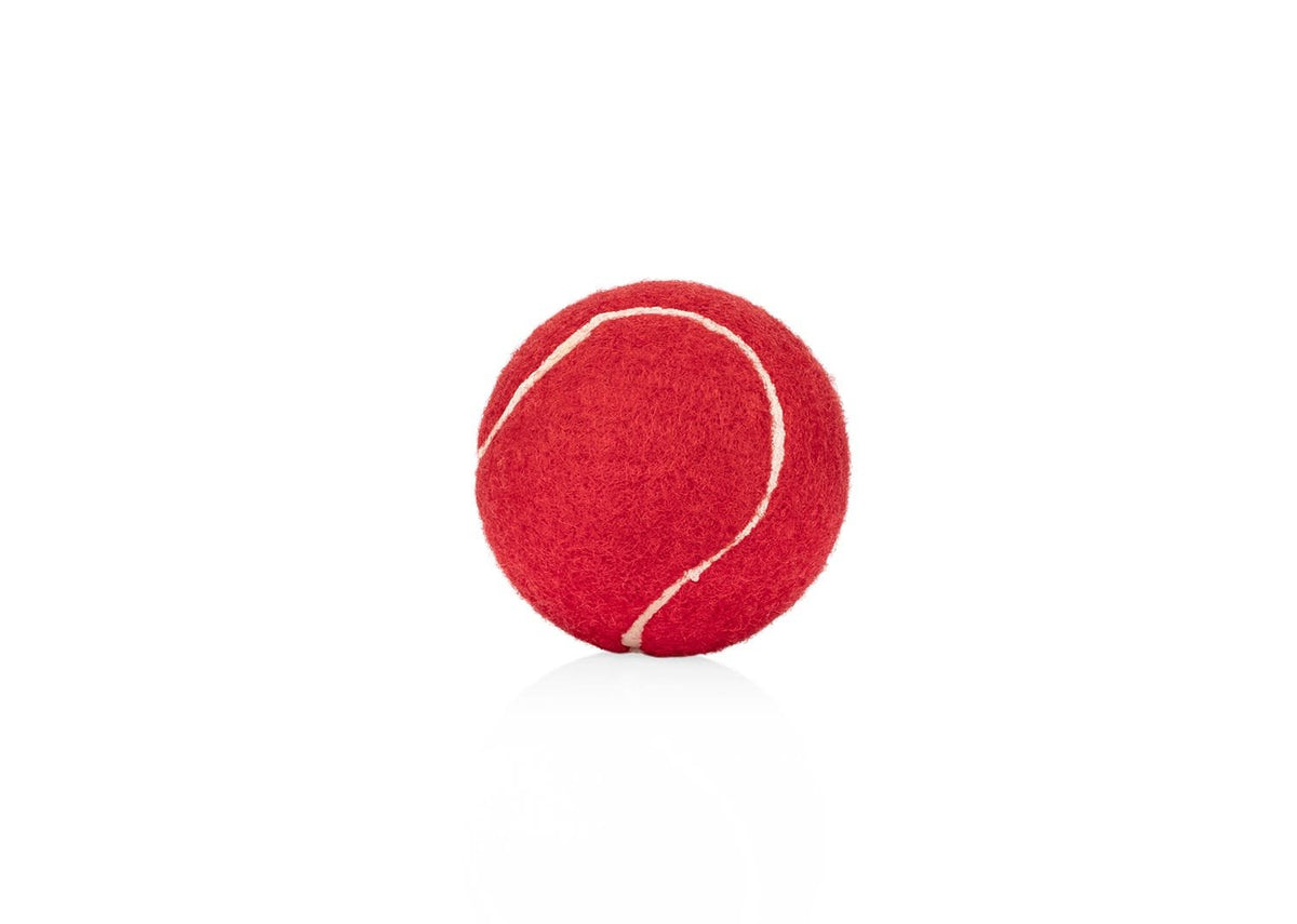 Pelota para Mascotas Marley