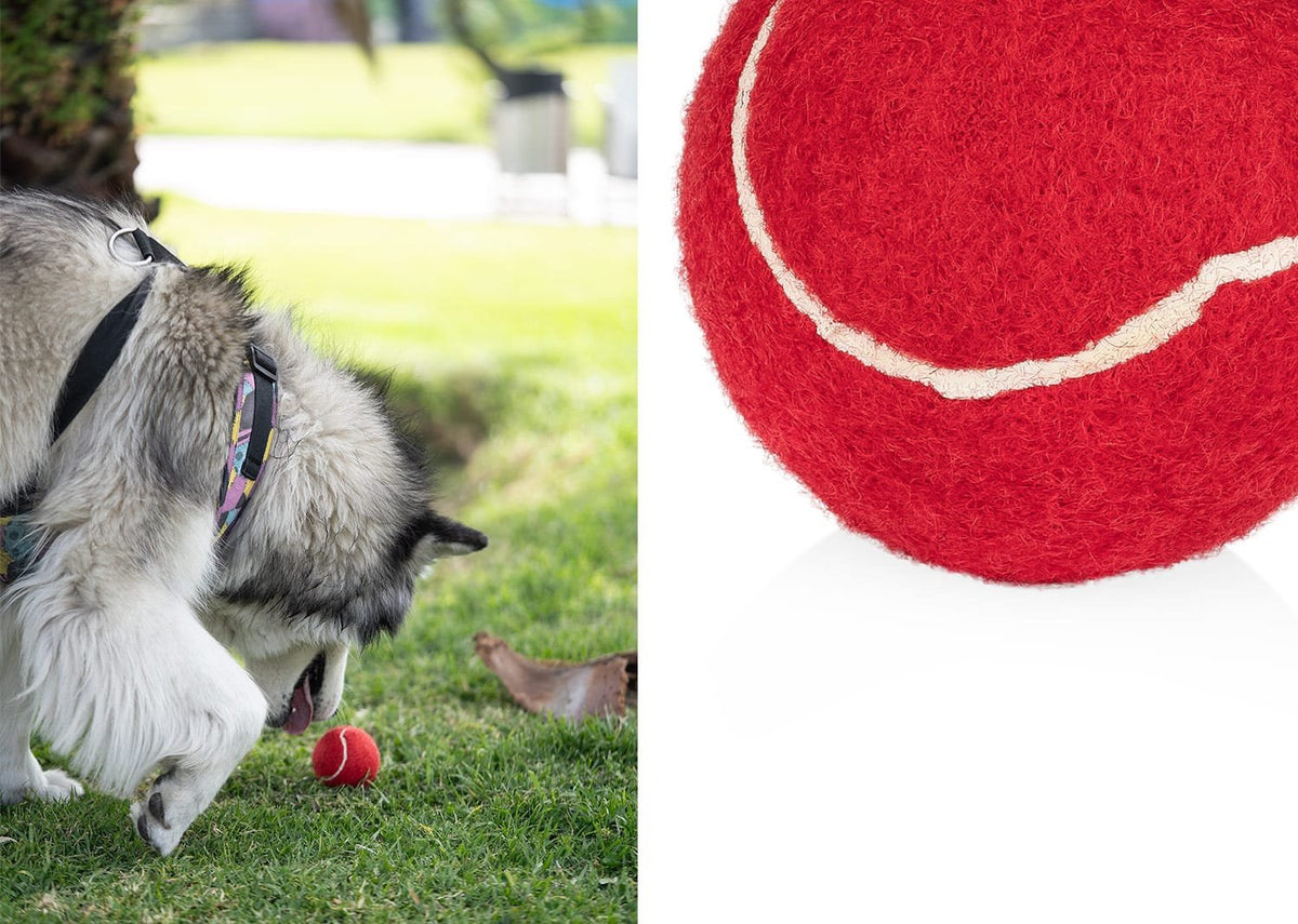 Pelota para Mascotas Marley