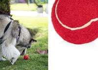 Pelota para Mascotas Marley
