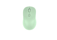 Mouse Jerry