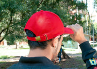 Gorra Neville