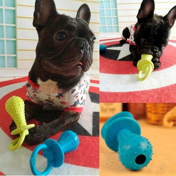Chupo Lassie
